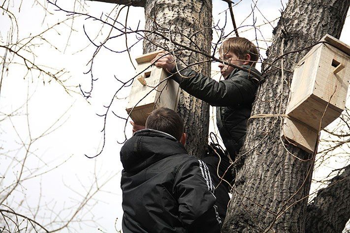 Томские новости, Завтра в Томске откроется &laquo;птичья столовая&raquo; Завтра в Томске откроется &laquo;птичья столовая&raquo;