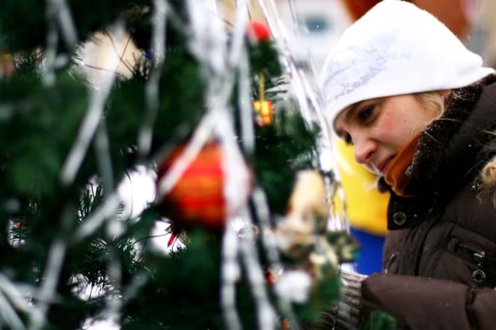 Конкурсы и акции, Томские новости, Томичи скормят коровам более 3,5 тыс. новогодних ёлок Томичи скормят коровам более 3,5 тыс. новогодних ёлок