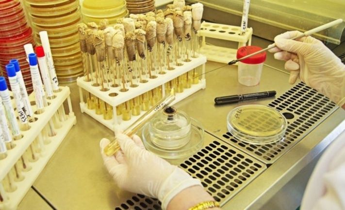 Образование и наука, Томские новости, Томские ученые нашли способ уменьшить объем операции при раке Томские ученые нашли способ уменьшить объем операции при раке