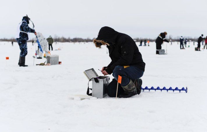 Конкурсы и акции, Томские новости, Томский &laquo;Народный рыбак&raquo; поймал больше 2 килограммов окуней Томский &laquo;Народный рыбак&raquo; поймал больше 2 килограммов окуней