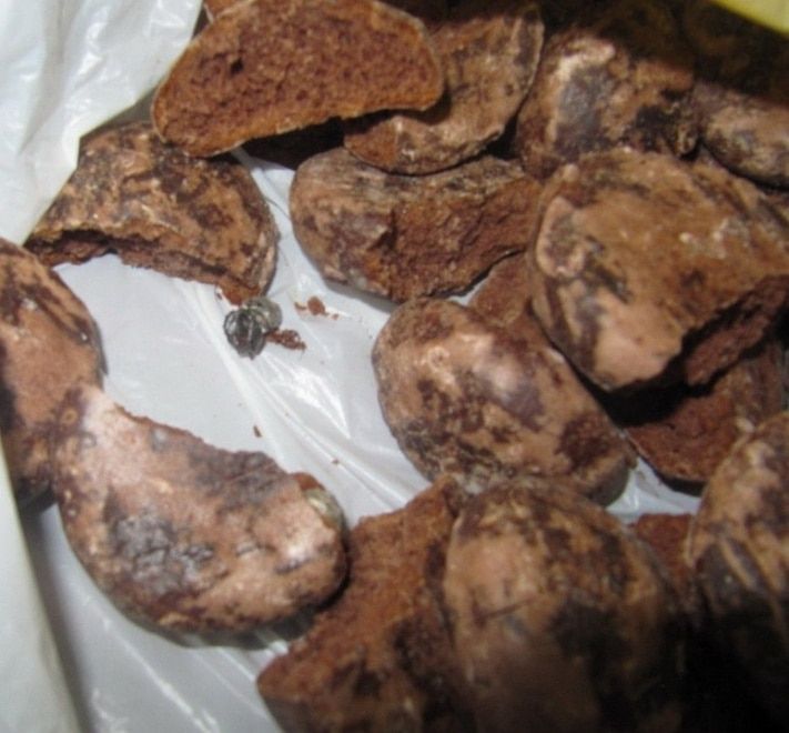 Криминал, Томские новости, Томские наркополицейские перехватили &laquo;передачку&raquo; с наркотиками в пряниках (ФОТО) Томские наркополицейские перехватили &laquo;передачку&raquo; с наркотиками в пряниках (ФОТО)