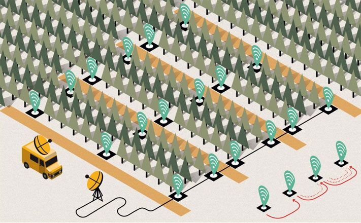 Нефтегаз, Томские новости, &laquo;Газпром нефть&raquo; продолжает внедрение метода &laquo;зеленой&raquo; сейсмики &laquo;Газпром нефть&raquo; продолжает внедрение метода &laquo;зеленой&raquo; сейсмики