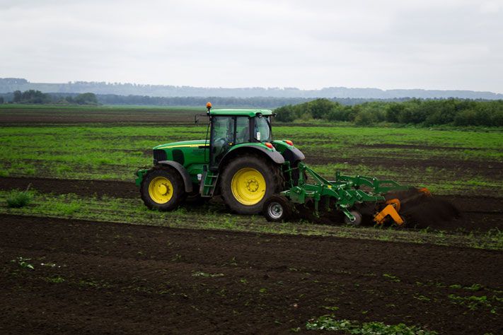 Томские новости, В Томской области вырос объем производства сельхозпродукции В Томской области вырос объем производства сельхозпродукции