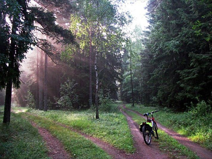 Конкурсы и акции, Томские новости, Вело-трофи впервые пройдет по крупнейшему в мире Васюганскому болоту в Сибири Вело-трофи впервые пройдет по крупнейшему в мире Васюганскому болоту в Сибири