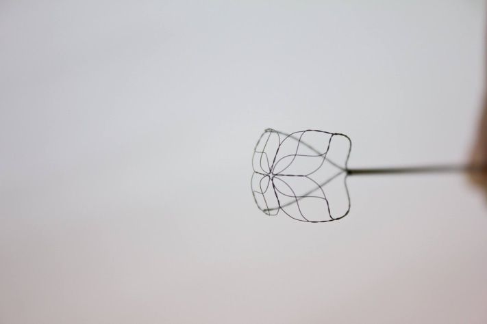 Образование и наука, Томские новости, Томские ученые создали петлю-дробилку для камней в почках Томские ученые создали петлю-дробилку для камней в почках