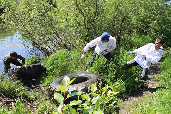Конкурсы и акции, Томские новости, На субботниках ко Дню эколога с берегов томских водоемов собрали 22 шины и 2 бункера пластиковых бут На субботниках ко Дню эколога с берегов томских водоемов собрали 22 шины и 2 бункера пластиковых бутылок (ФОТО)