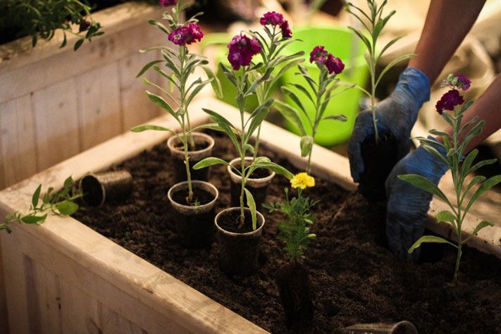 Городское благоустройство, Томские новости, Цветочные контейнеры с фестиваля &laquo;Лето в городе&raquo; поселились на Иркутском тракте (ФОТО) Цветочные контейнеры с фестиваля &laquo;Лето в городе&raquo; поселились на Иркутском тракте (ФОТО)