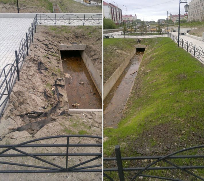 Томские новости, Томский криогель выдержал эксперимент по &laquo;сложному озеленению&raquo; на Ямале Томский криогель выдержал эксперимент по &laquo;сложному озеленению&raquo; на Ямале