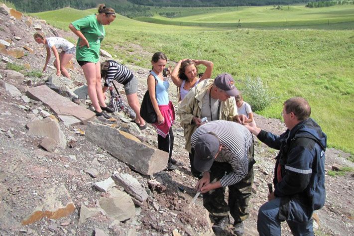Томские новости, Томские ученые нашли в Хакасии почву и остатки растений возрастом более 300 миллионов лет Томские ученые нашли в Хакасии почву и остатки растений возрастом более 300 миллионов лет
