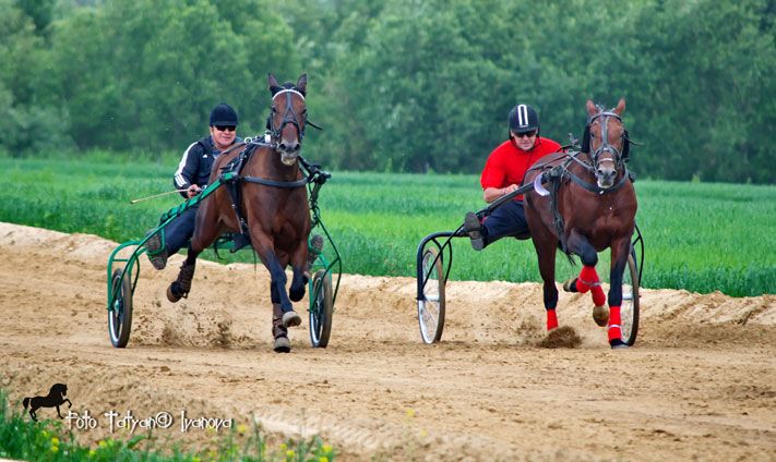 Томские новости, Частный ипподром в селе Вершинино начал работать в постоянном режиме Частный ипподром в селе Вершинино начал работать в постоянном режиме