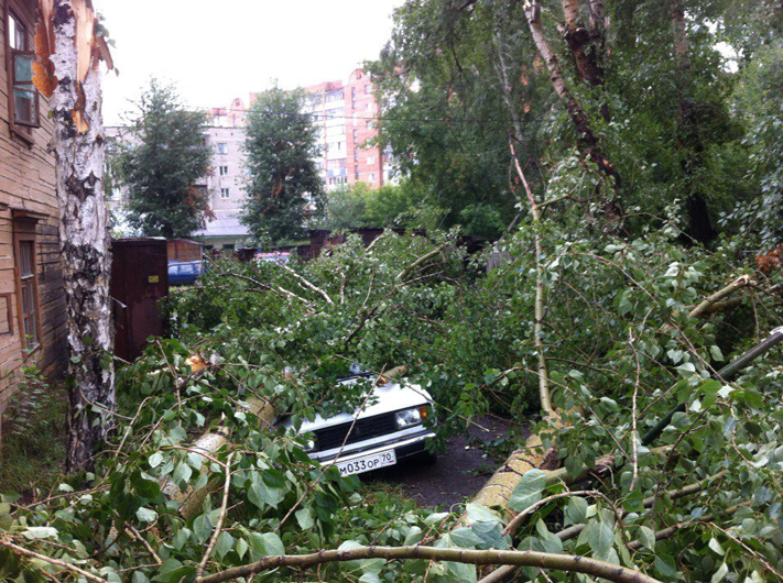 Фото недели. Гроза в Томске: поваленные деревья, оборванные провода, расплющенные автомобили