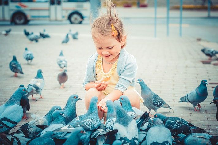 Томские юзергайды.Как принять участие в фотоконкурсе «Я из Томска»