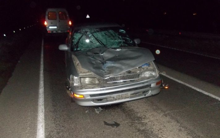 Происшествия, Томские новости, Полицейские ищут свидетелей смертельного ДТП под Томском Полицейские ищут свидетелей смертельного ДТП под Томском