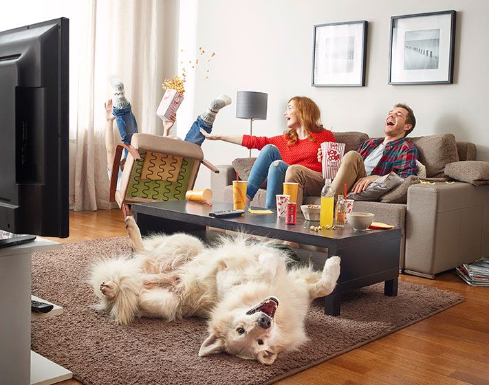 Томский Обзор, новости, Дом.ru, Мировые новости Клиенты &laquo;Дом.ru TV&raquo; выбирают российское кино Клиенты &laquo;Дом.ru TV&raquo; выбирают российское кино