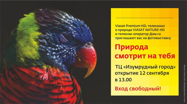 Дом.ru, Томские новости, Фотовыставка &laquo;Природа смотрит на тебя&raquo; откроется в Томске Фотовыставка &laquo;Природа смотрит на тебя&raquo; откроется в Томске