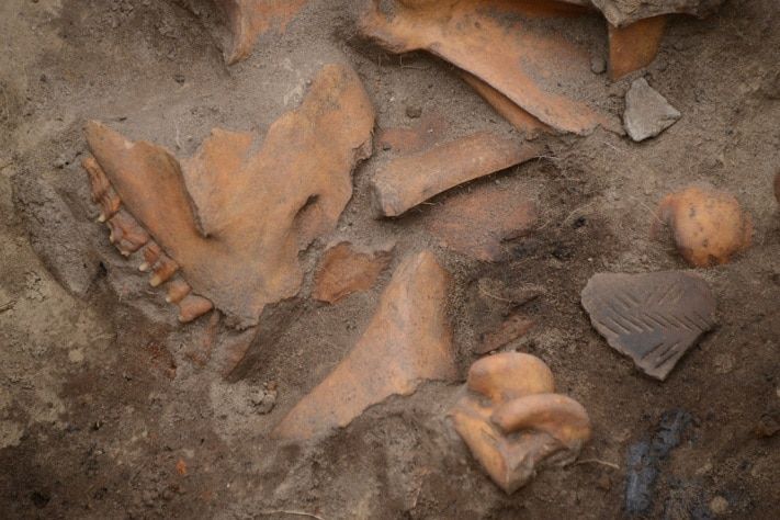 Образование и наука, Томские новости, Томские ученые нашли на Тояновом городке ядро от пушки-пищали и серебряную монету XVII века Томские ученые нашли на Тояновом городке ядро от пушки-пищали и серебряную монету XVII века