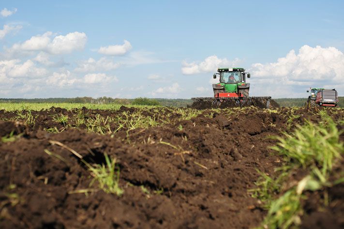Томские новости, Томские аграрии признаны самыми производительными в Сибири Томские аграрии признаны самыми производительными в Сибири