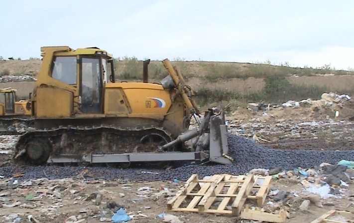 Томские новости, В Томской области из-за плодожорки уничтожили почти 20 тонн импортных слив В Томской области из-за плодожорки уничтожили почти 20 тонн импортных слив