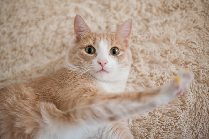 Выбор редакции.Лучшее за неделю на &laquo;Томском Обзоре&raquo;.7&mdash;11 сентября 2015 года