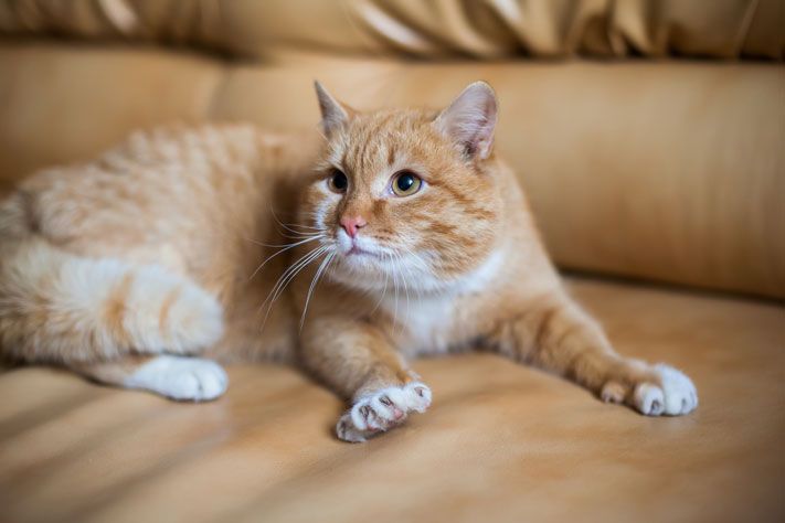 Выбор редакции.Лучшее за неделю на &laquo;Томском Обзоре&raquo;.21&mdash;25 сентября 2015 года