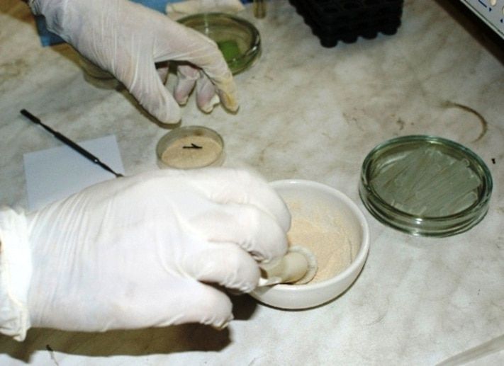 Криминал, Томские новости, Кемеровские наркополицейские нашли более 100 граммов героина у жителя Томска Кемеровские наркополицейские нашли более 100 граммов героина у жителя Томска