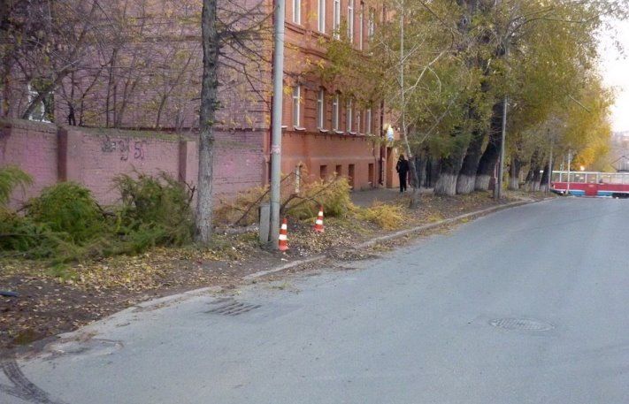 Происшествия, Томские новости, В Томске неопытная женщина-водитель врезалась в дерево и столб В Томске неопытная женщина-водитель врезалась в дерево и столб