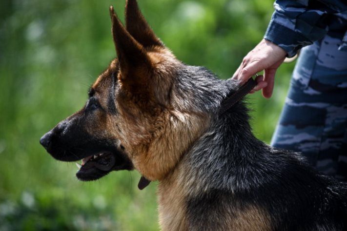 Происшествия, Томские новости, заминировали телефонный терроризм Посетителей ТРЦ в Томске эвакуировали из-за сообщения о минировании - источник