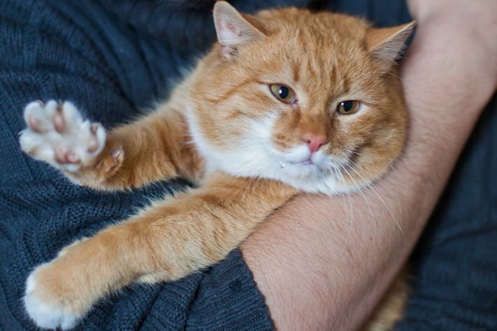 Городские тренды, Выбор редакции. Лучшее за неделю на &laquo;Томском Обзоре&raquo;.26&mdash;30 октября Выбор редакции. Лучшее за неделю на &laquo;Томском Обзоре&raquo;.26&mdash;30 октября