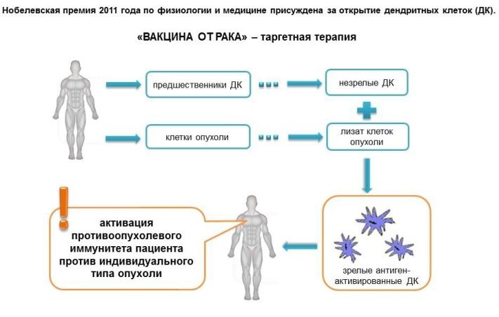 Томский Обзор, новости, Мировые новости Сибирские ученые изобрели вакцину от рака, но у них нет денег, чтобы сделать ее общедоступной Сибирские ученые изобрели вакцину от рака, но у них нет денег, чтобы сделать ее общедоступной