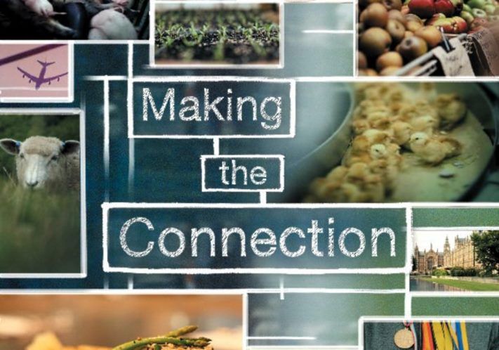 Конкурсы и акции, Томские новости, Всемирный день вегана в Томске отметят тематическим кинопоказом Всемирный день вегана в Томске отметят тематическим кинопоказом