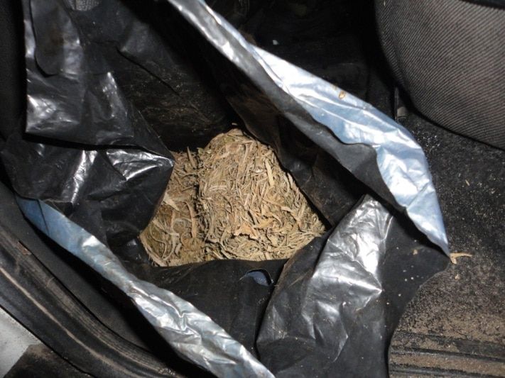 Криминал, Томские новости, В Томской области полицейские остановили авто с 3,5 кг марихуаны (ФОТО) В Томской области полицейские остановили авто с 3,5 кг марихуаны (ФОТО)