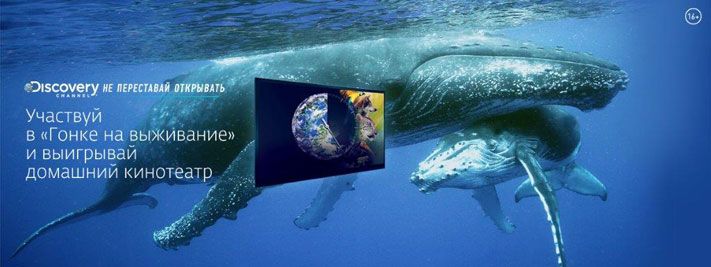 Томский Обзор, новости, Дом.ru, Мировые новости &laquo;Дом.ru&raquo; и Discovery Channel подарят зрителям домашний кинотеатр &laquo;Дом.ru&raquo; и Discovery Channel подарят зрителям домашний кинотеатр