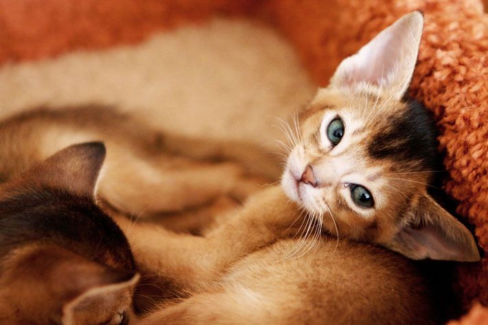 Выбор редакции. Лучшее за неделю на &laquo;Томском Обзоре&raquo;.9&mdash;13 ноября