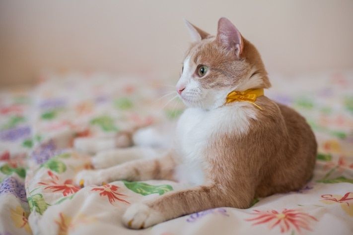 Выбор редакции. Лучшее за неделю на &laquo;Томском Обзоре&raquo;.16&mdash;20 ноября