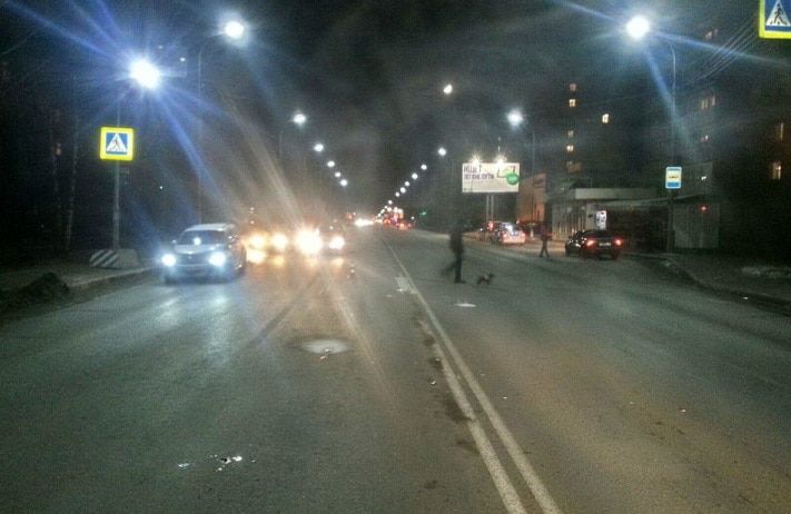 Происшествия, Томские новости, В Томске девушка без прав сбила пешехода В Томске девушка без прав сбила пешехода