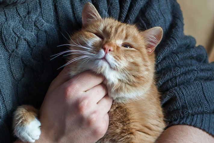 Выбор редакции. Лучшее за неделю на &laquo;Томском Обзоре&raquo;.23&mdash;27 ноября