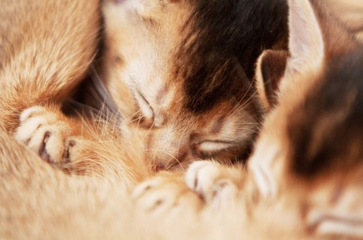 Выбор редакции.Лучшее за неделю на «Томском Обзоре».30 ноября — 4 декабря