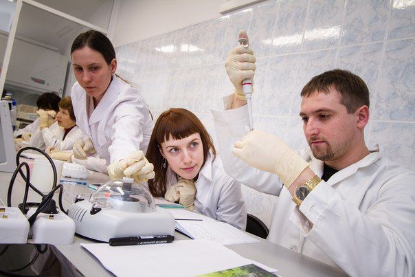 Томские новости, Томские ботаники получили государственную финансовую поддержку Томские ботаники получили государственную финансовую поддержку