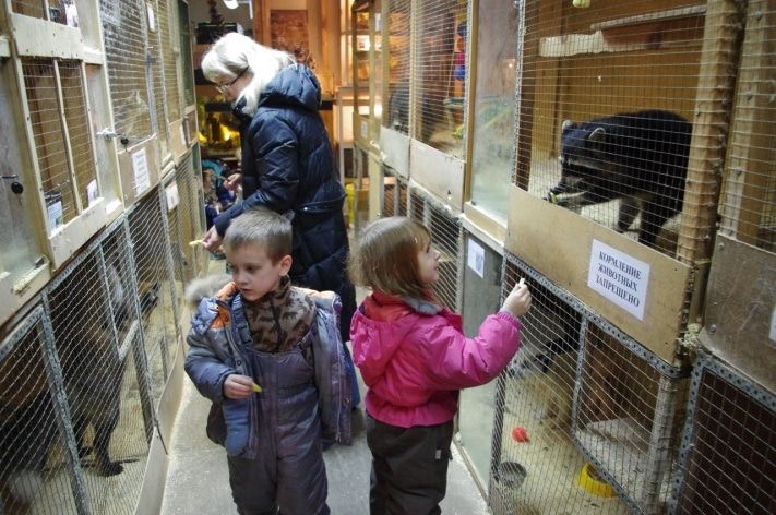 Томские новости, Мини-зоопарку «Тотем» выделили 100 тысяч рублей на оплату аренды Мини-зоопарку «Тотем» выделили 100 тысяч рублей на оплату аренды