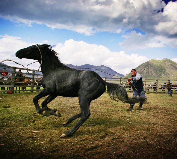 Томские новости, Томичи узнают, как зарабатывать фотографиями из путешествий Томичи узнают, как зарабатывать фотографиями из путешествий