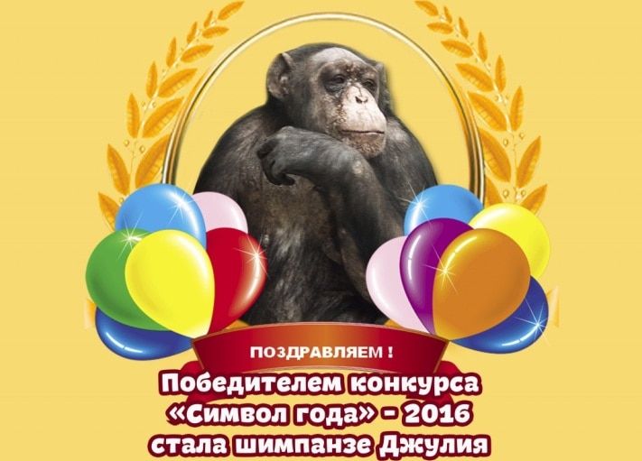 Конкурсы и акции, Томские новости, В северском зоопарке выбрали символ 2016 года В северском зоопарке выбрали символ 2016 года