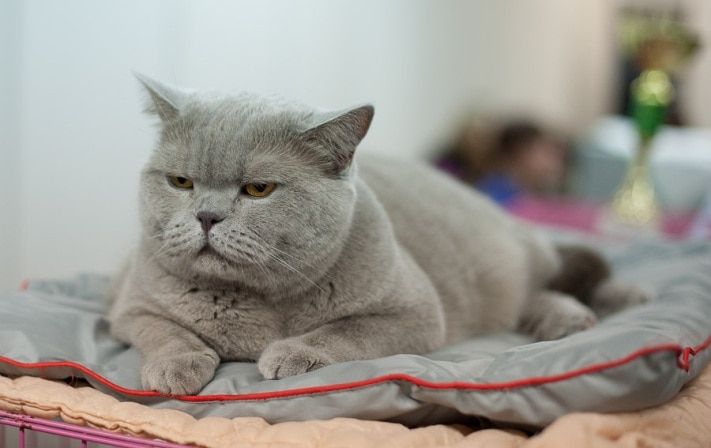 Выбор редакции.Лучшее за неделю на «Томском Обзоре».25—29 января