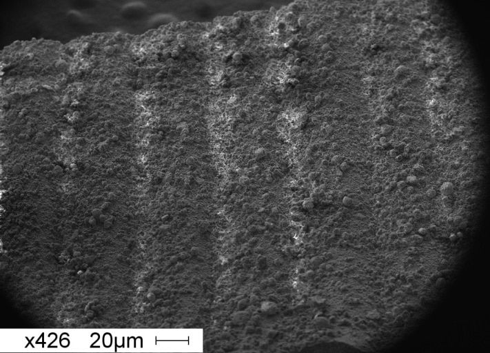 Образование и наука, Томские новости, Томские ученые разработали первый в мире метод 3D-печати высокопрочной керамики Томские ученые разработали первый в мире метод 3D-печати высокопрочной керамики