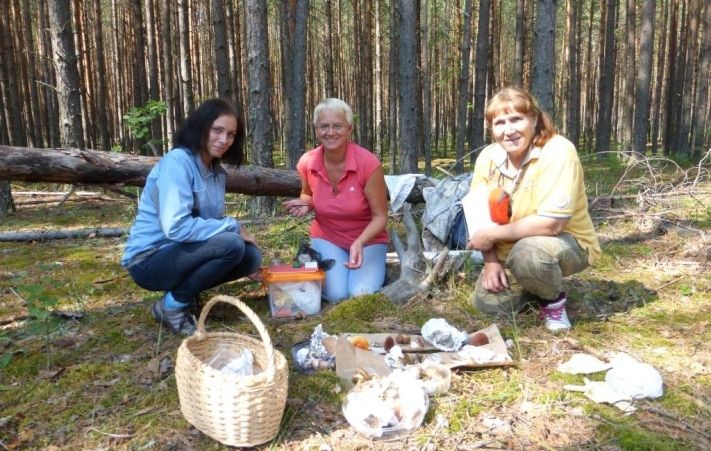 Образование и наука, Томские новости, &laquo;Сибирский шиитаке&raquo; сможет бороться с птичьим гриппом и раком &mdash; томские учены &laquo;Сибирский шиитаке&raquo; сможет бороться с птичьим гриппом и раком &mdash; томские ученые