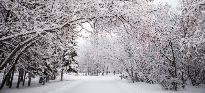Томские новости, Более 90% томичей считают Томск удобным для жизни &mdash; исследование Более 90% томичей считают Томск удобным для жизни &mdash; исследование