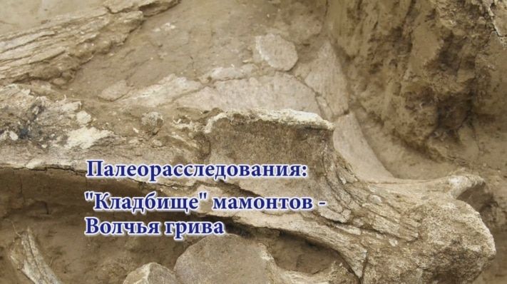 Образование и наука, Томские новости, Томские ученые сняли фильм о крупнейшем &laquo;кладбище&raquo; мамонтов Томские ученые сняли фильм о крупнейшем &laquo;кладбище&raquo; мамонтов