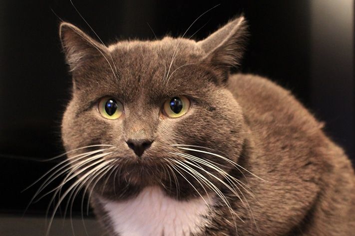 Выбор редакции.Лучшее за неделю на «Томском Обзоре».15—20 февраля