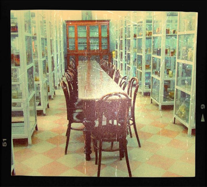 Преступления, метеориты и гробы: 6 необычных музеев Томска и Сибири