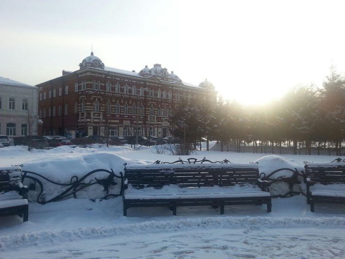 Городское благоустройство, Томские новости, В Театральном сквере вырубили деревья (ФОТО) В Театральном сквере вырубили деревья (ФОТО)