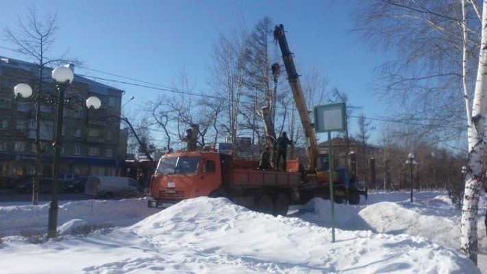 Томские новости, Возле Дворцового сквера убирают старые тополя (ФОТО) Возле Дворцового сквера убирают старые тополя (ФОТО)